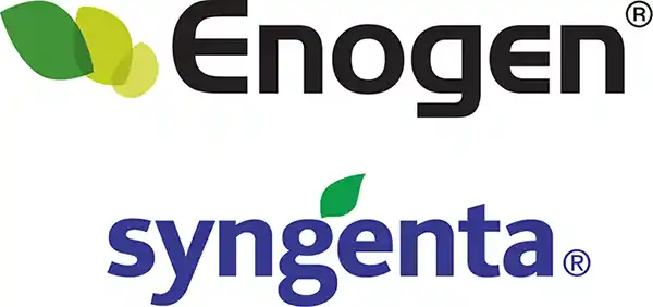 Enogen Syngenta